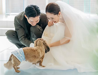 愛犬と結婚式のイメージ